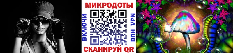 Псилоцибиновые грибы Psilocybe  Баксан 