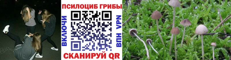 Галлюциногенные грибы ЛСД Баксан